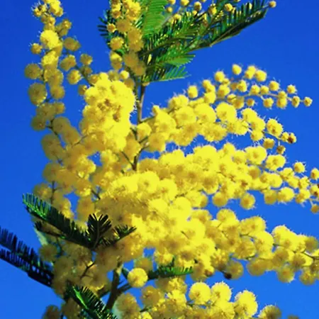 아파트 Fonctionnel