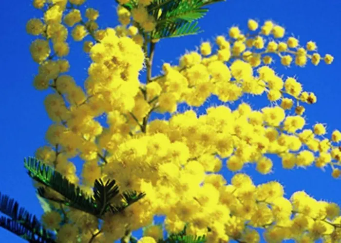 아파트 Fonctionnel